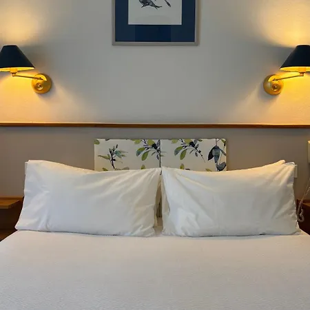 Logis Restaurant Grand De Lyon 3*
