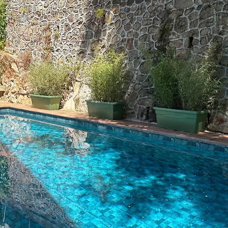 Otel Logis Restaurant Grand De Lyon
