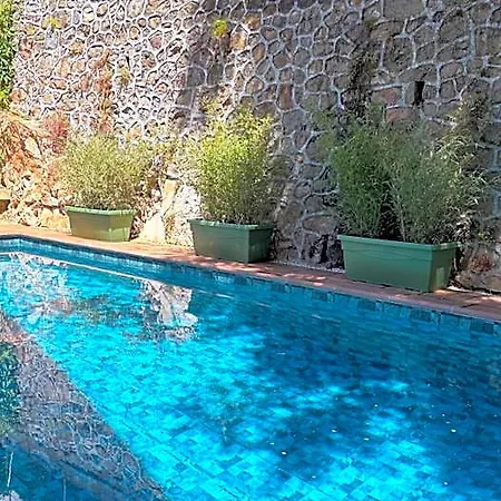 Logis Restaurant Grand De Lyon فندق 3*